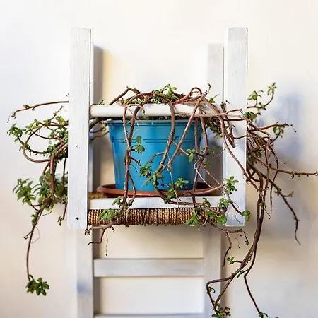 Trapani Home 트라파니