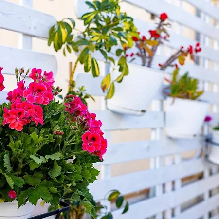 게스트하우스 Trapani Home 트라파니