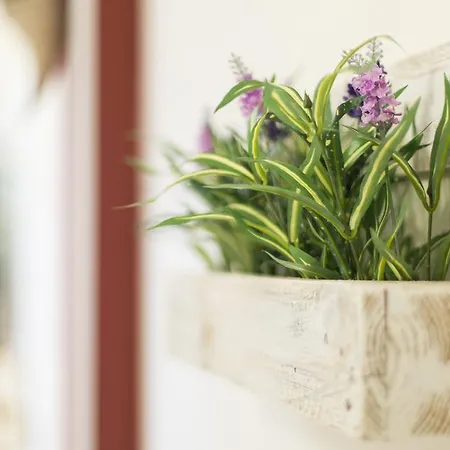 게스트하우스 Trapani Home