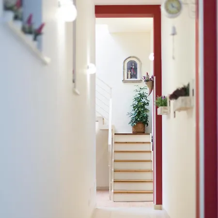 Trapani Home 게스트하우스 4*