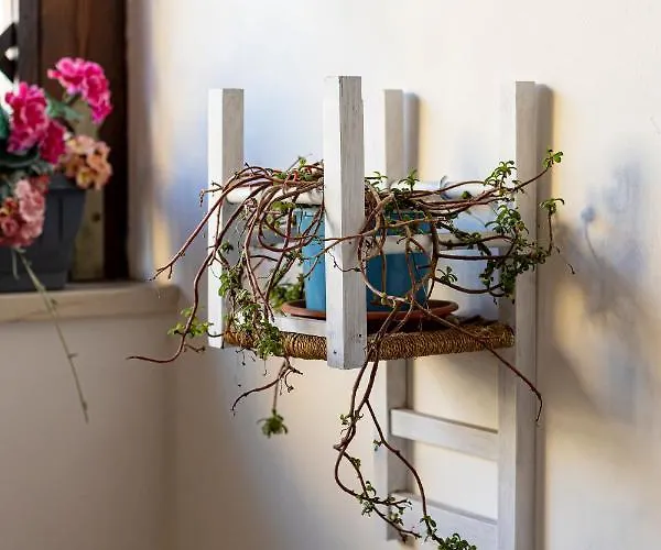 Trapani Home Trapani